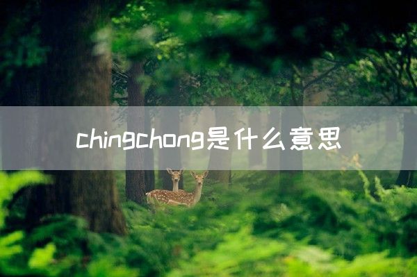chingchong是什么意思(图1)